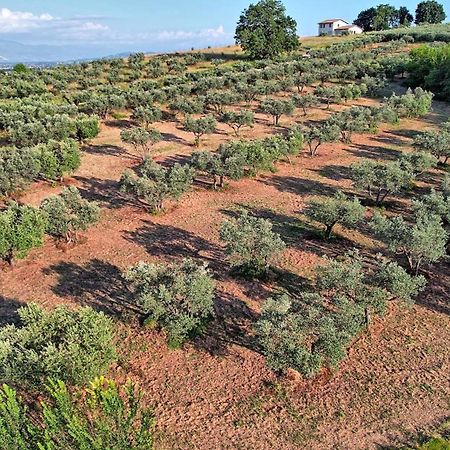 Agriturismo Incanto Della Natura Cannara Bagian luar foto
